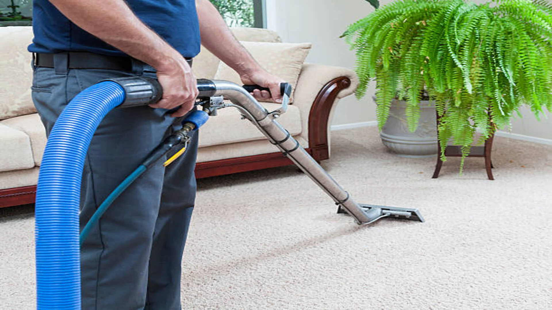 Why Carpet Cleaning Services in Arvin, CA Matters