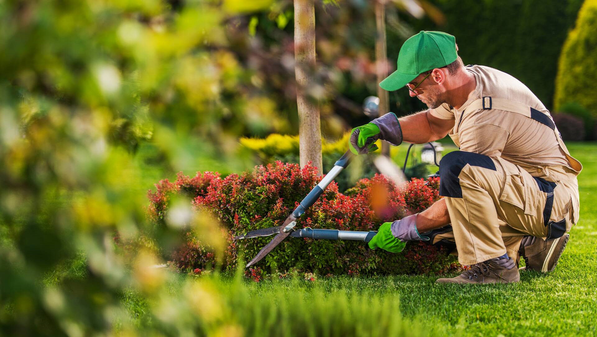 Professional Landscaping Services in Mount Vernon