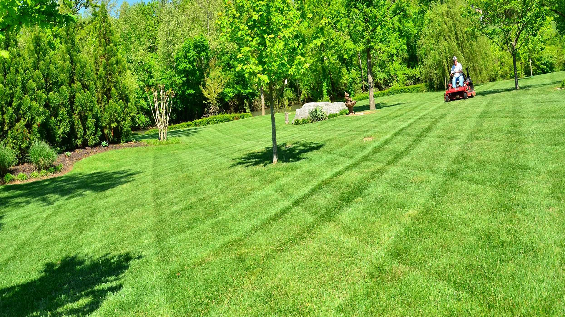 Professional Lawn Care in Mount Vernon