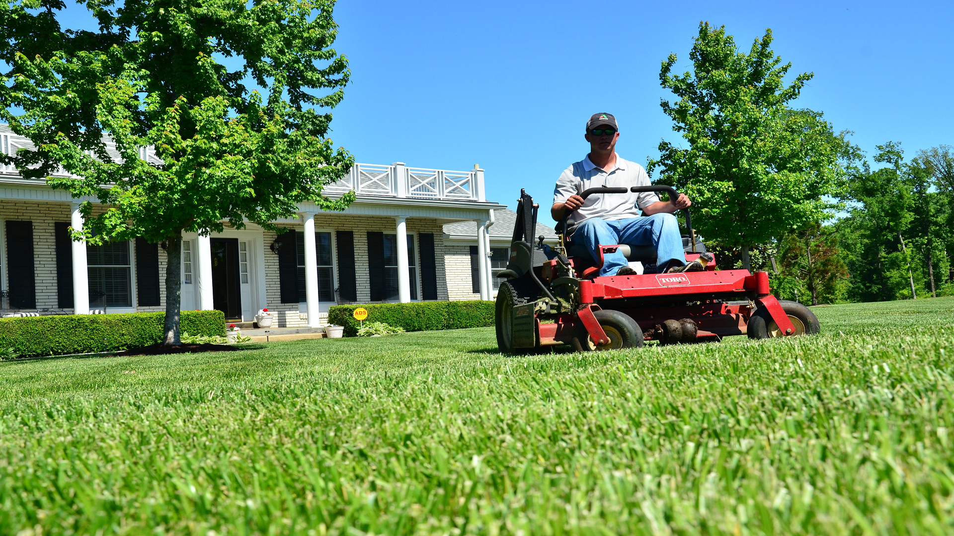 Seasonal Lawn Care Services in Mount Vernon