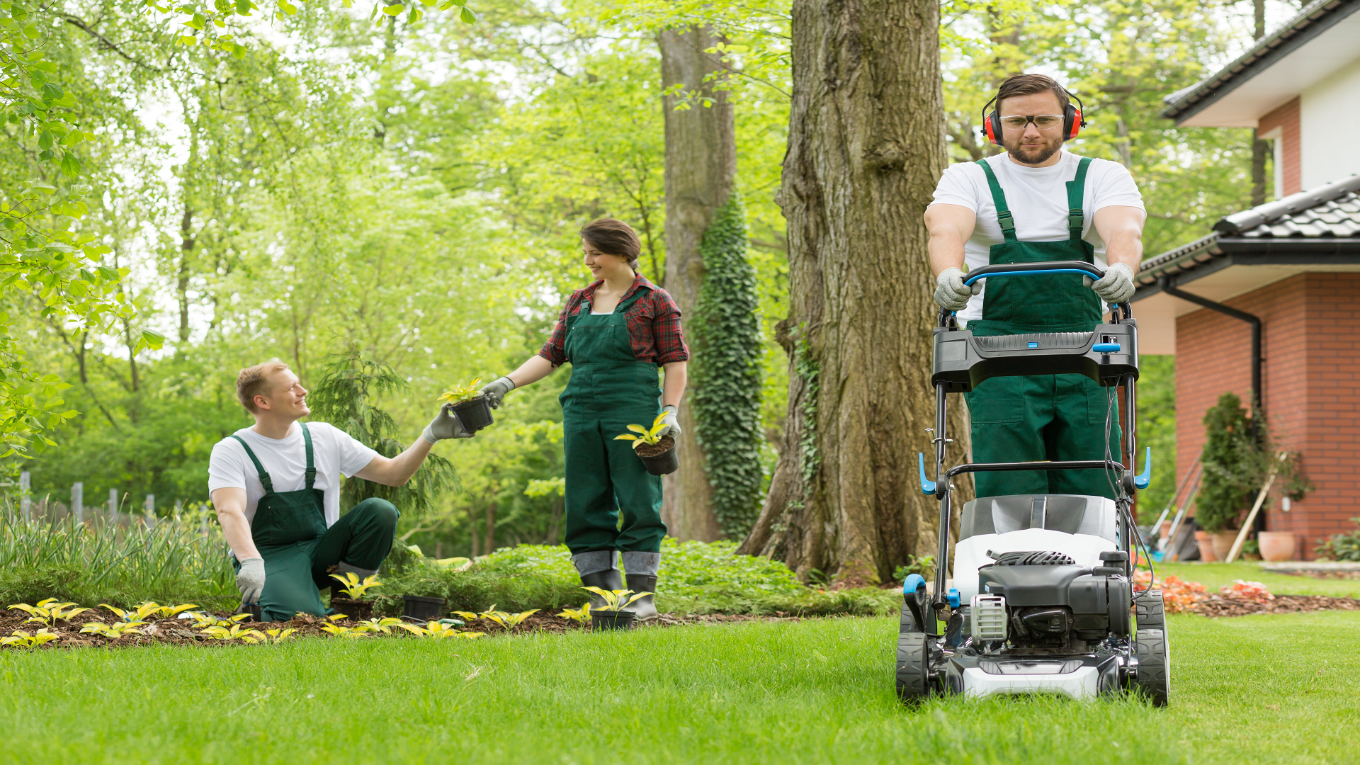 Trusted Lawn Care Services in Yonkers