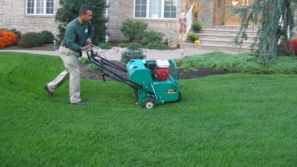 lawn care services in Mount Vernon