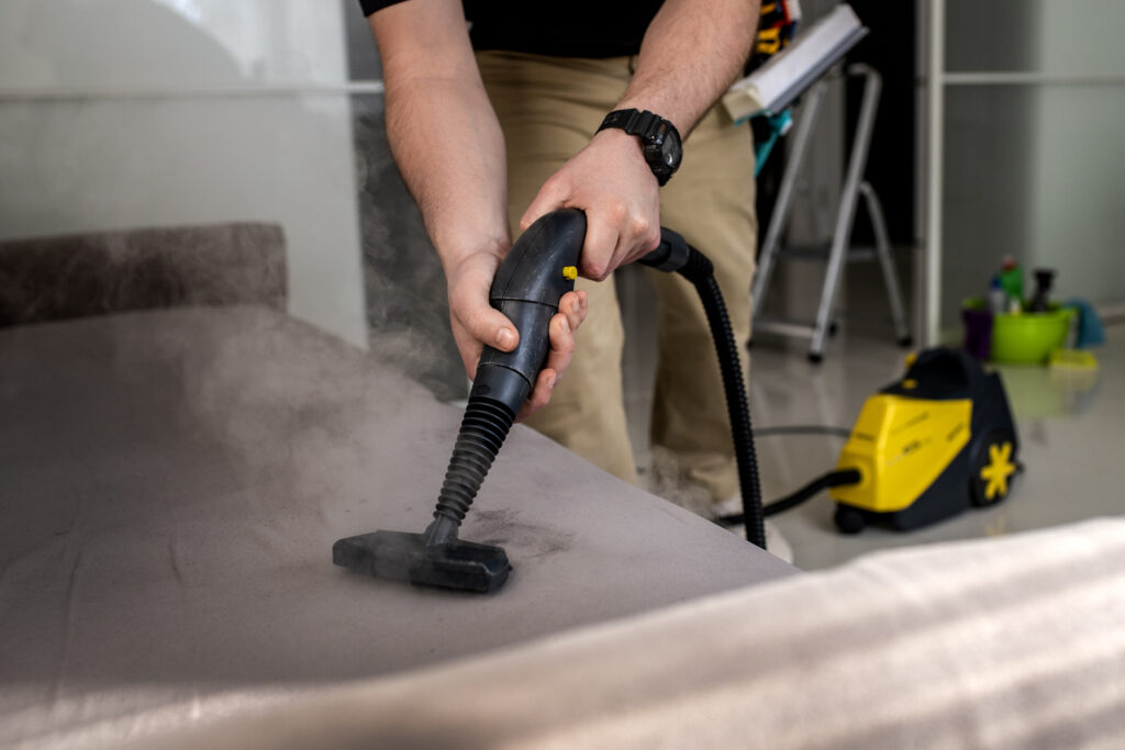 carpet cleaning Hayden