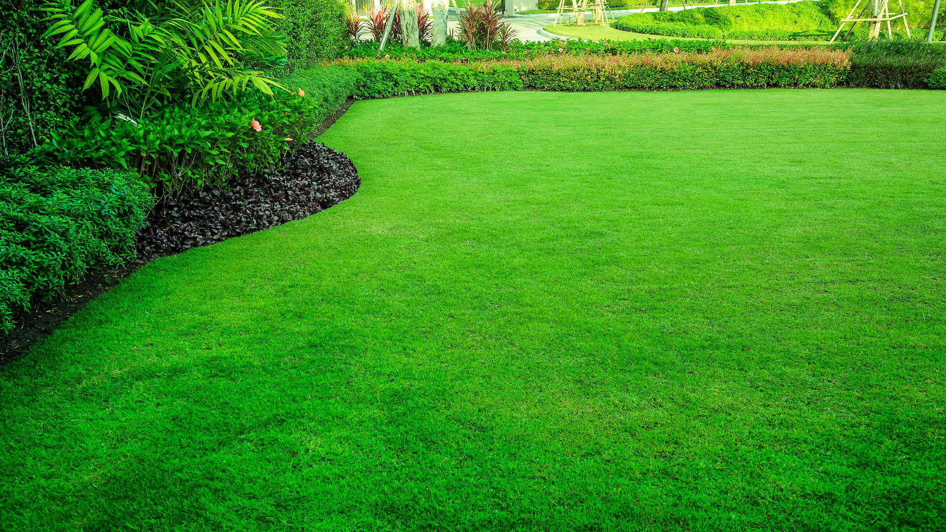 Green Lawns Start with JP Lawn Care