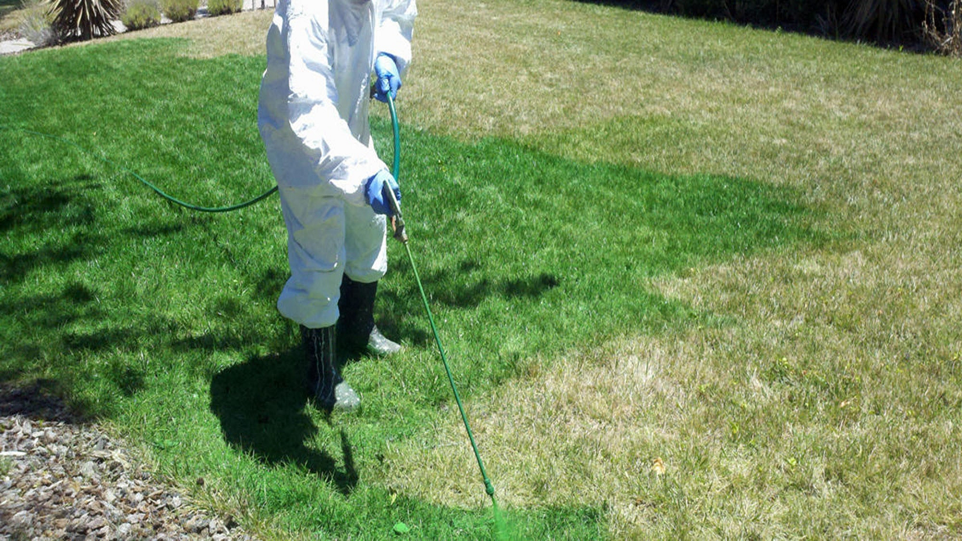 Lawn Painting Company in Mount Vernon