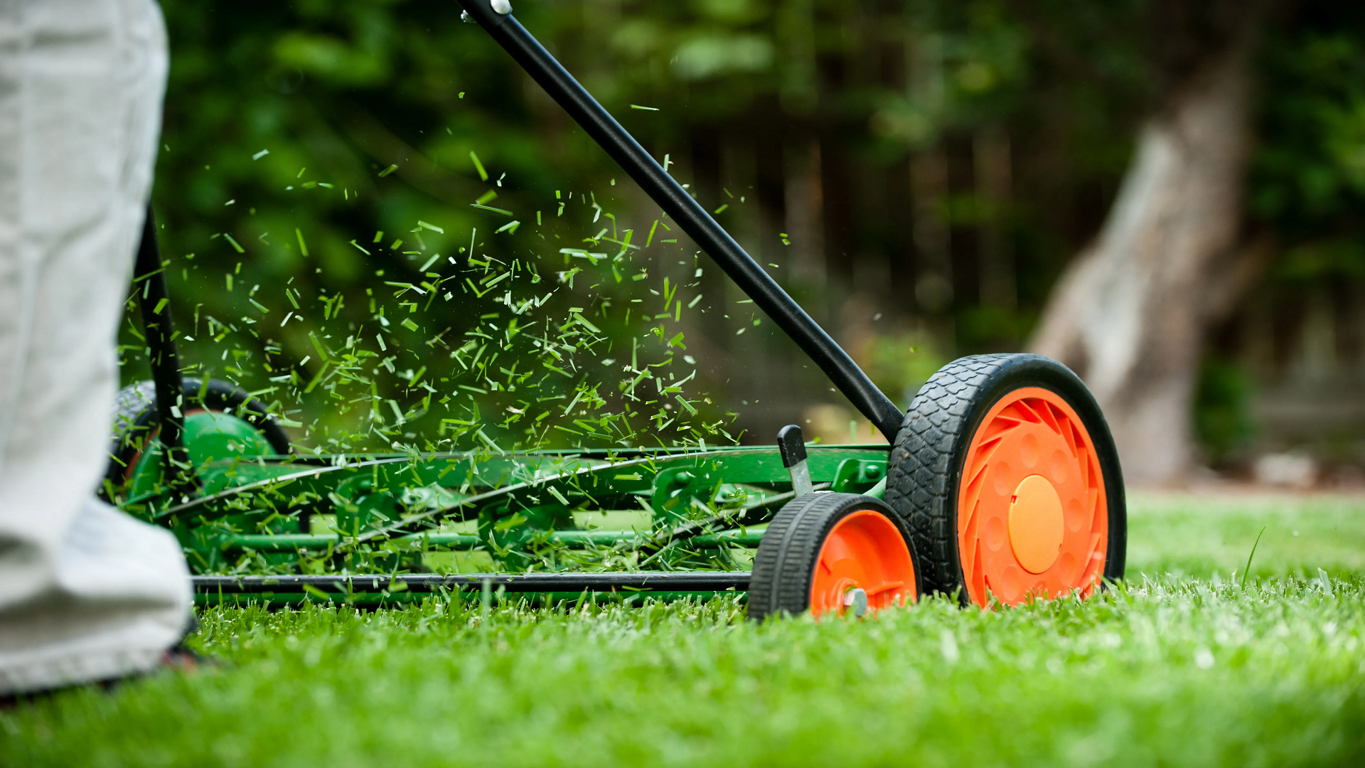 Professional Grass Cutting Tailored to Your Lawn in Yonkers