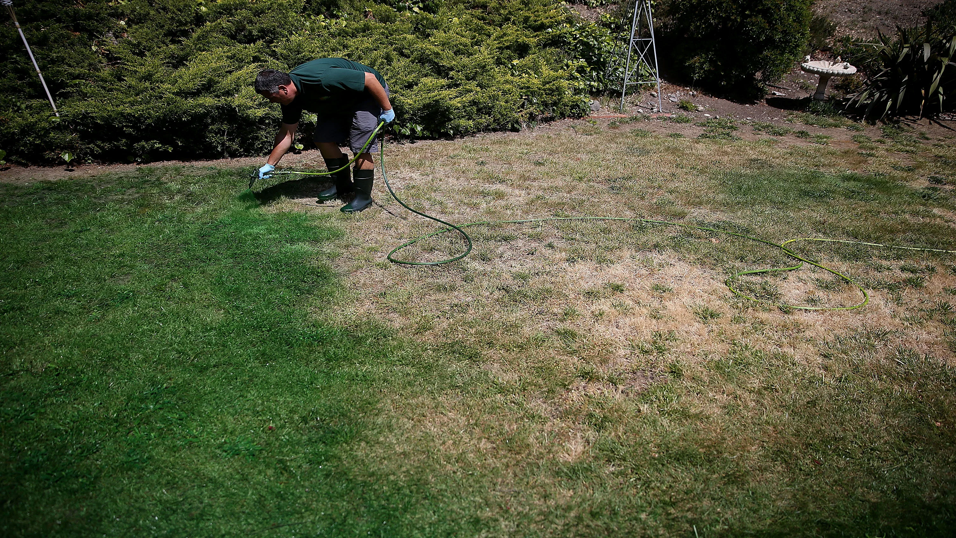 lawn painters in Mount Vernon