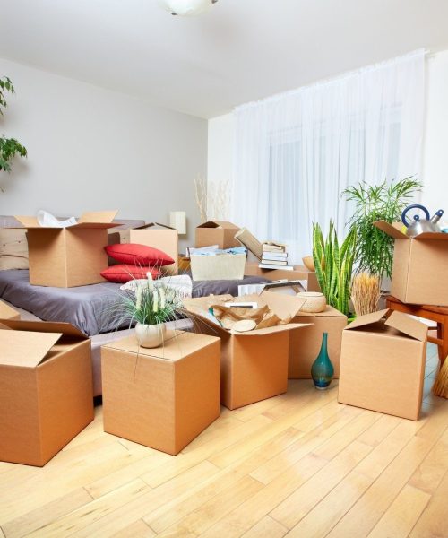 Key Difference Between Move-In and Move-Out Cleaning Services